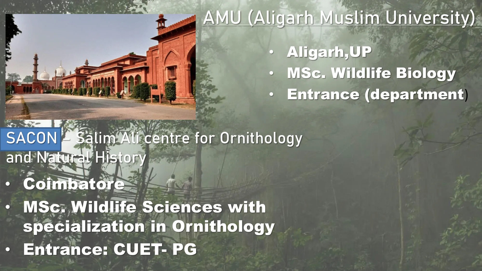 Aligarh Muslim University courses