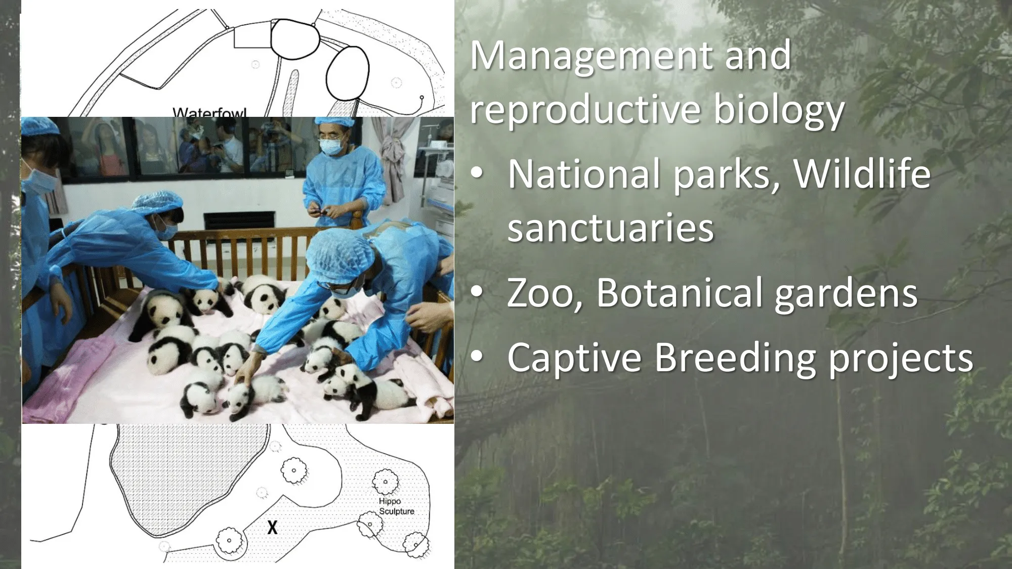 Wildlife biologist do manage reproductive projects