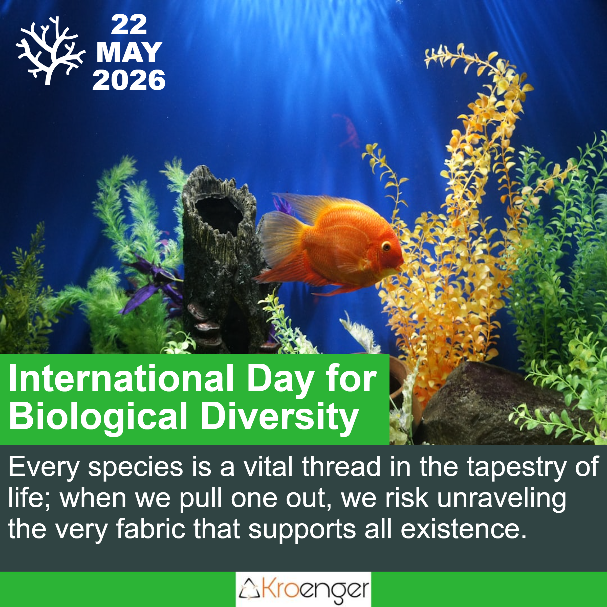 International Day for Biological Diversity
