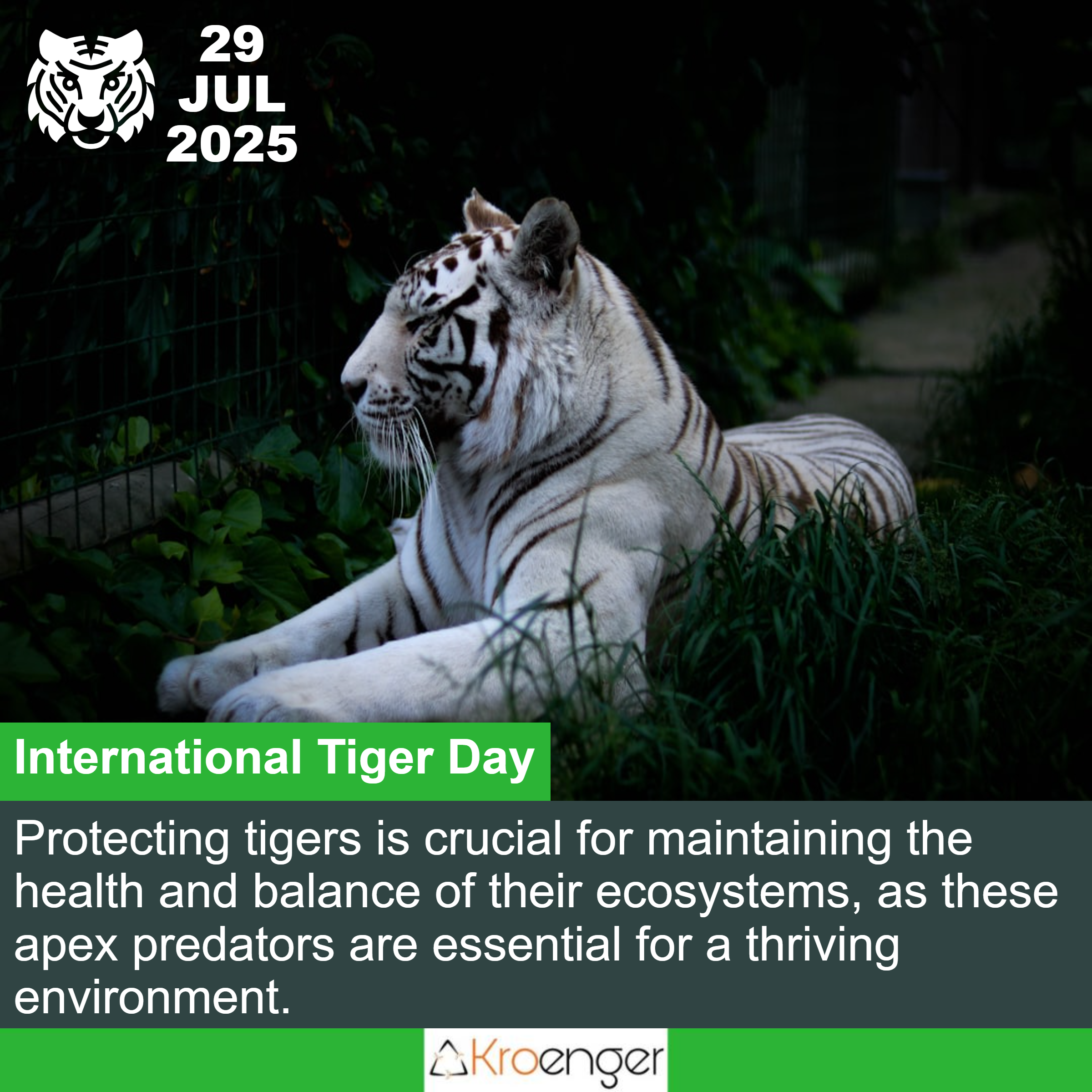 International Tiger Day