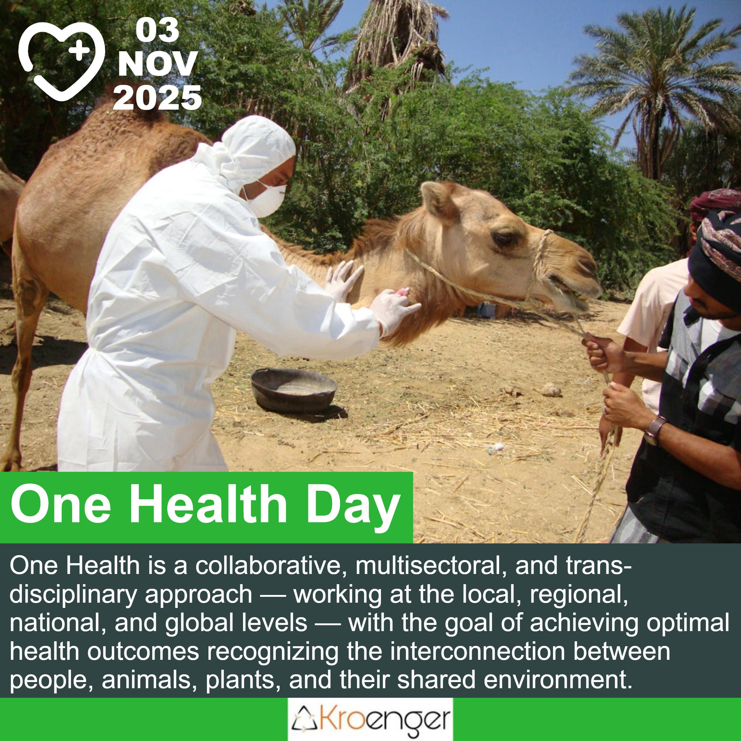 One Health Day
