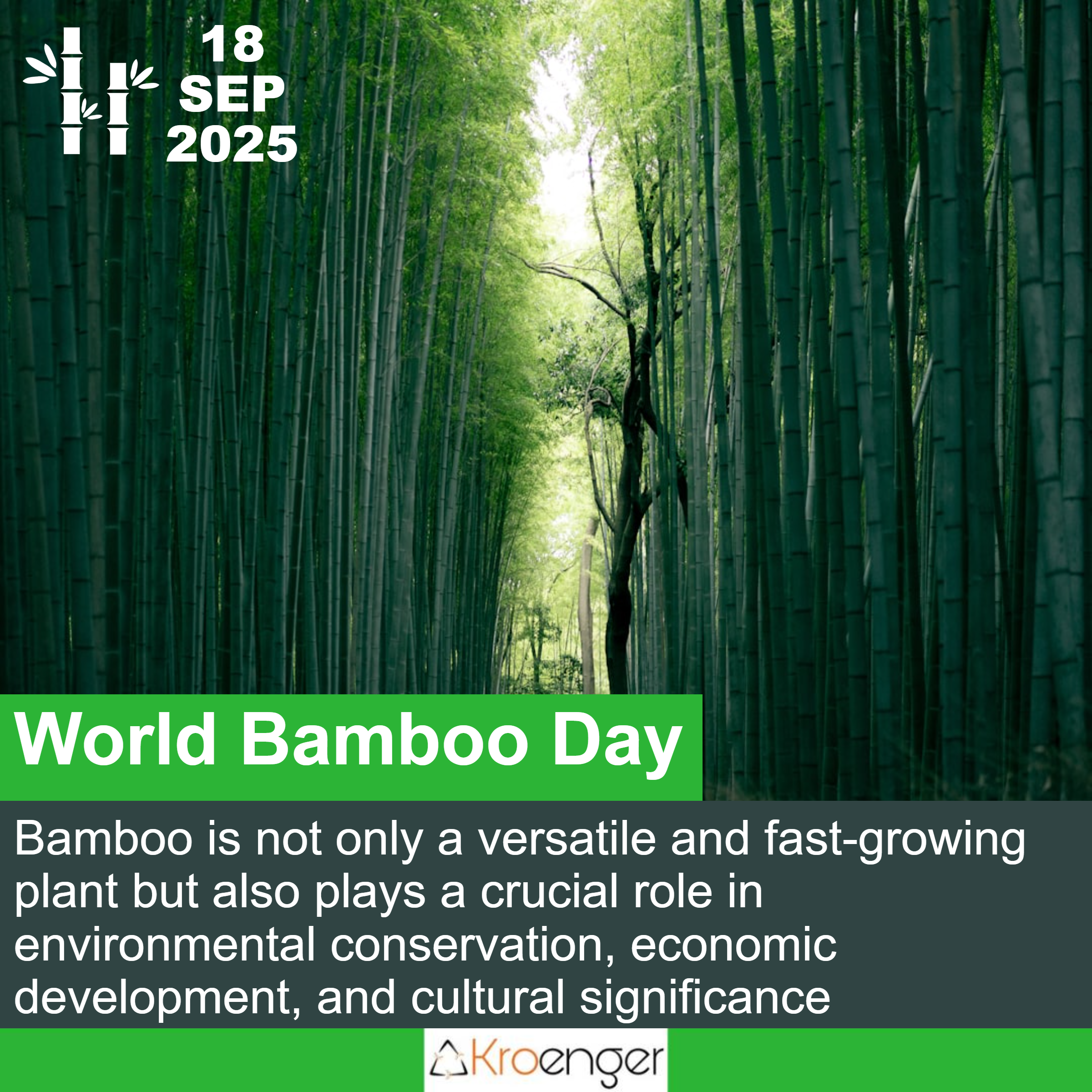 World Bamboo Day