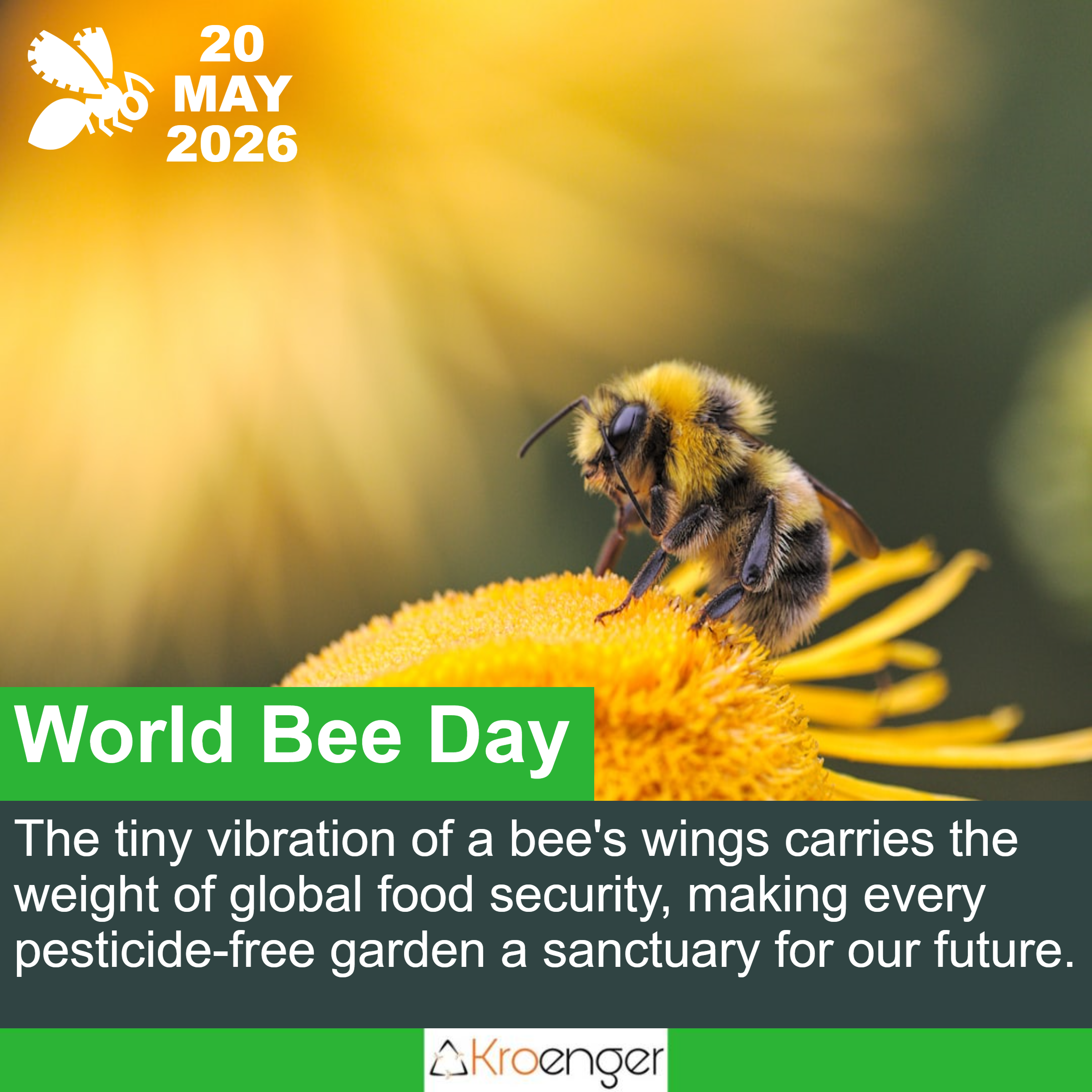 World Bee Day