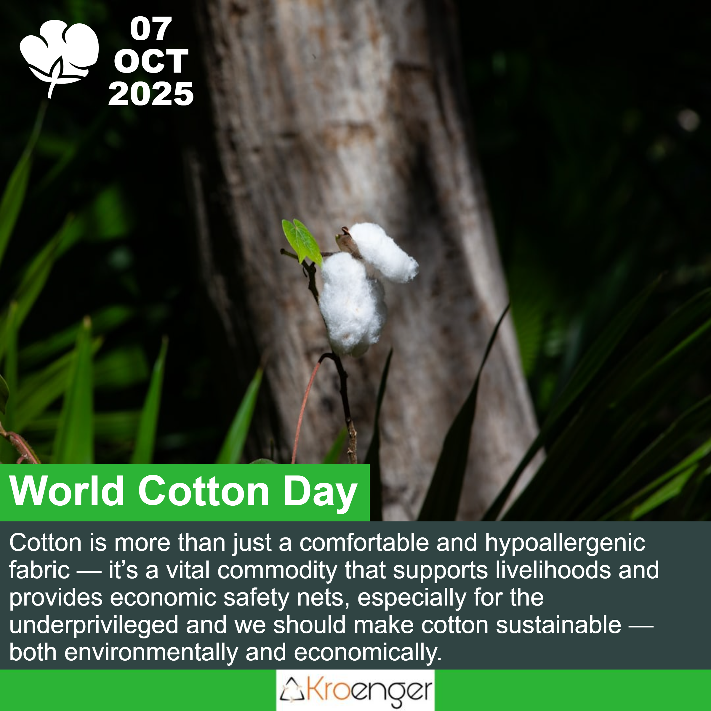 World Cotton Day