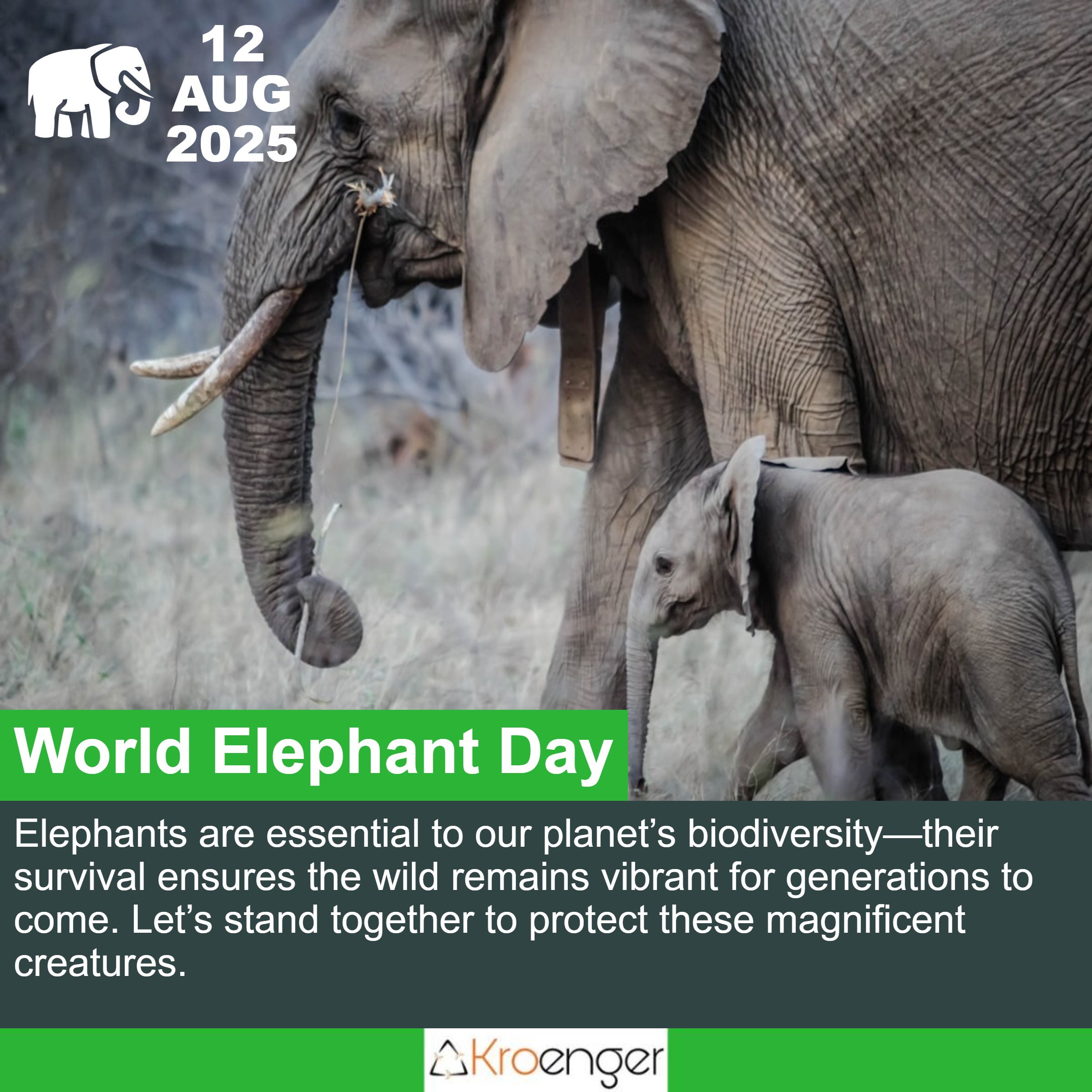 World Elephant Day
