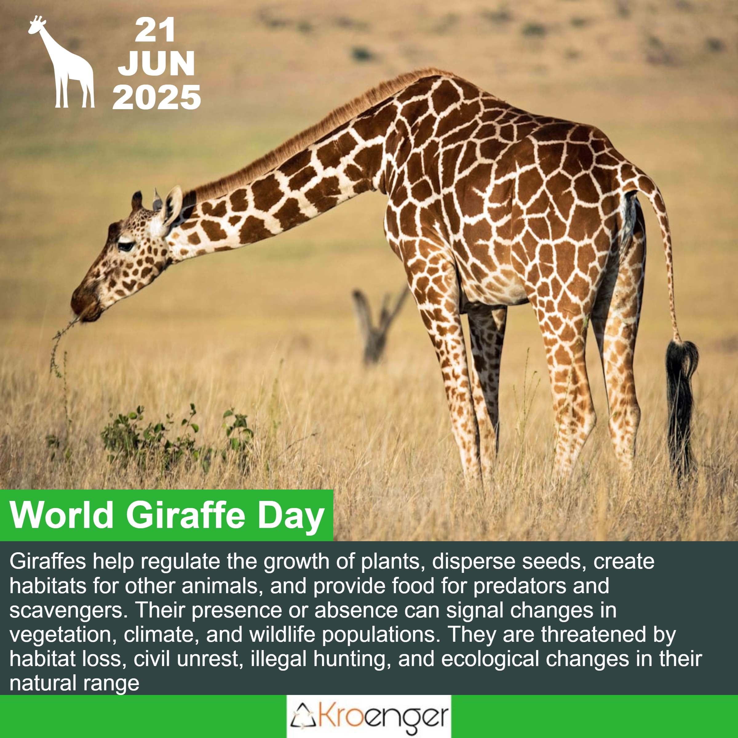 World Giraffe Day