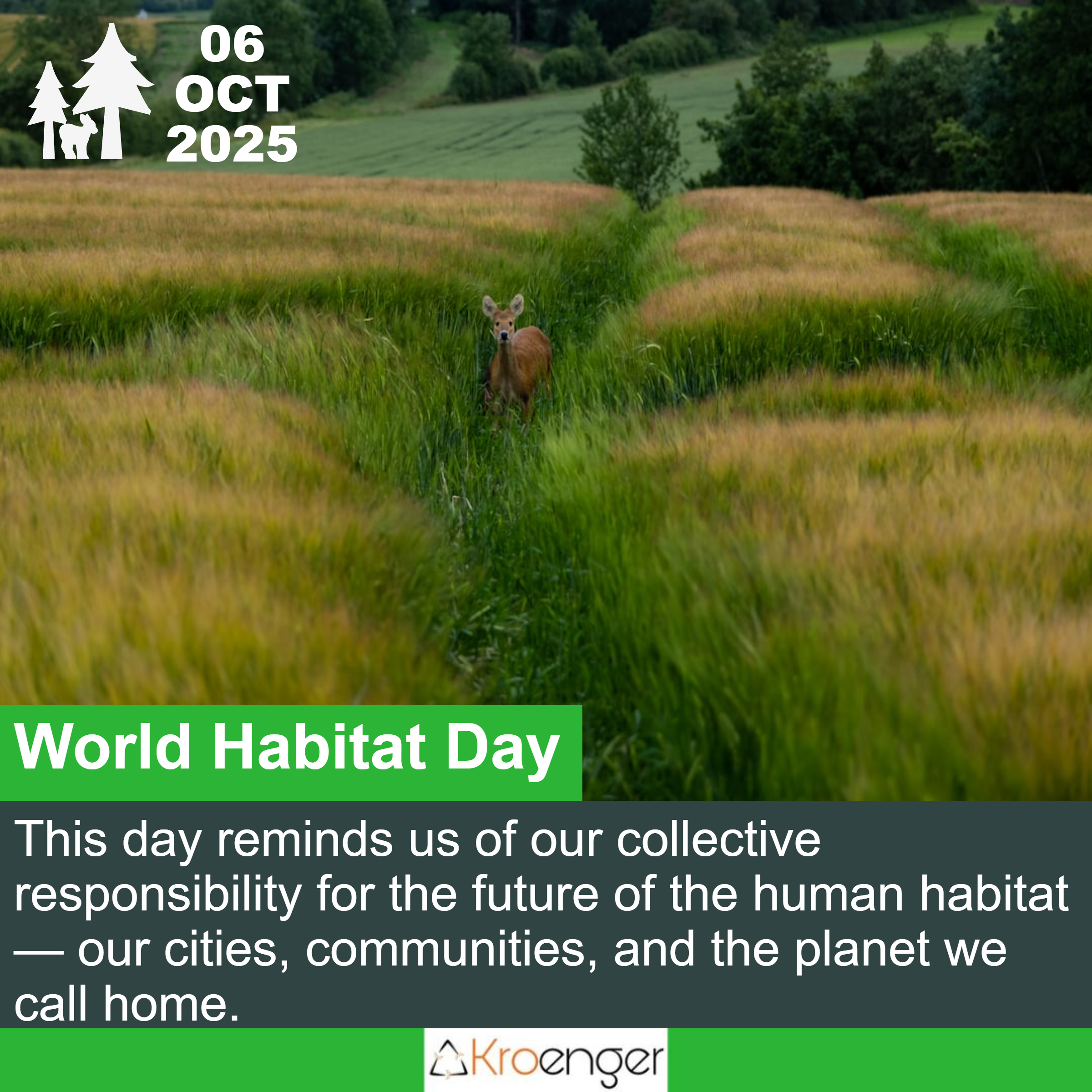 World Habitat Day