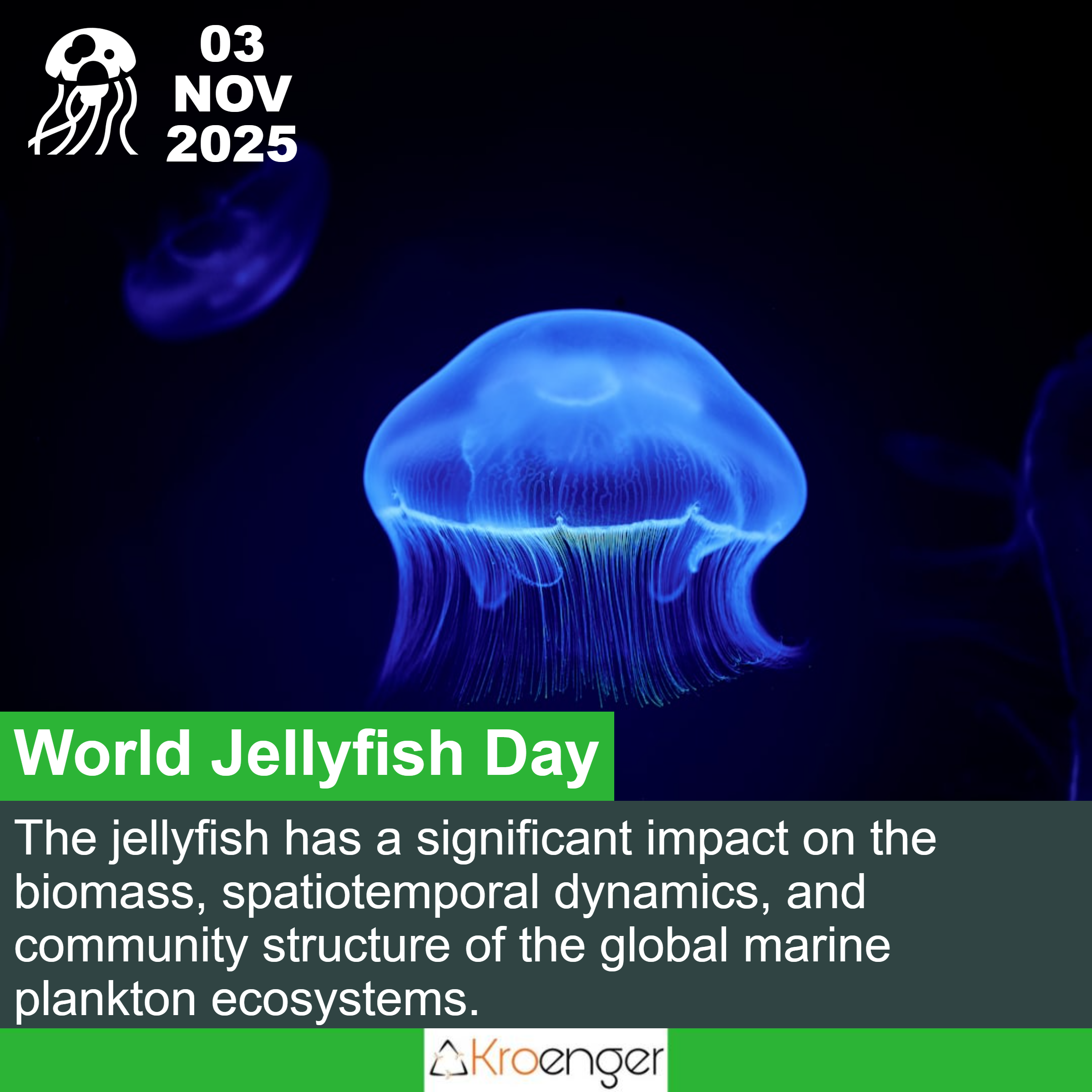 World Jellyfish Day