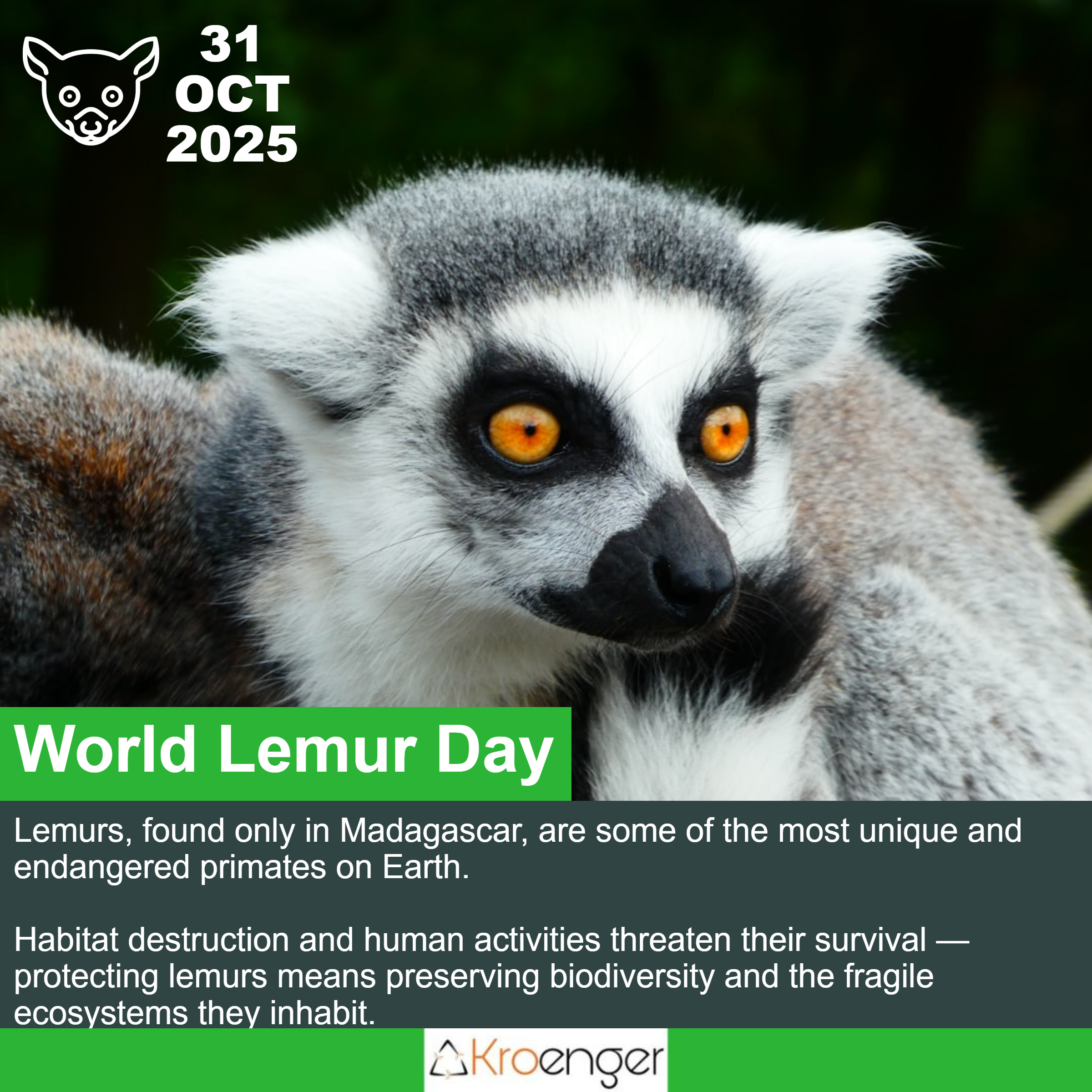 World Lemur Day