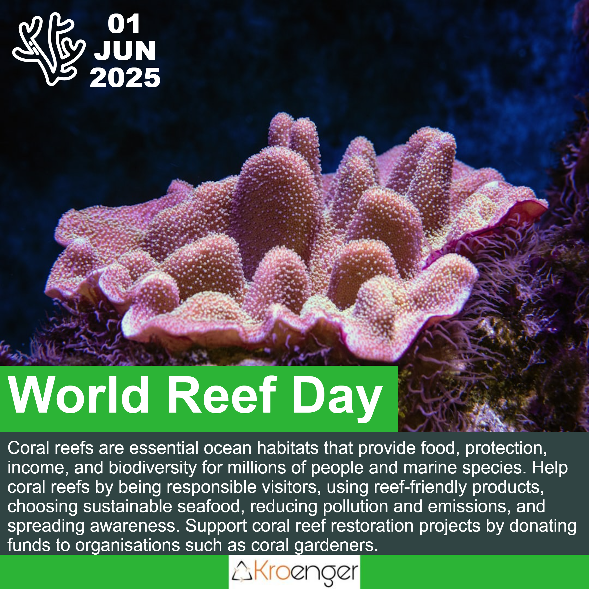 World Reef Day