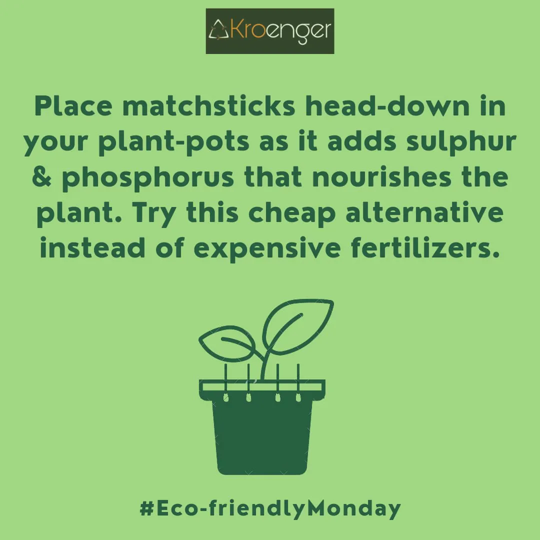 Place matchsticks head-down in your plant-pots as it adds sulphur & phosphorus 
        that nourishes the plant. Try this cheap alternative instead of expensive fertilizers.