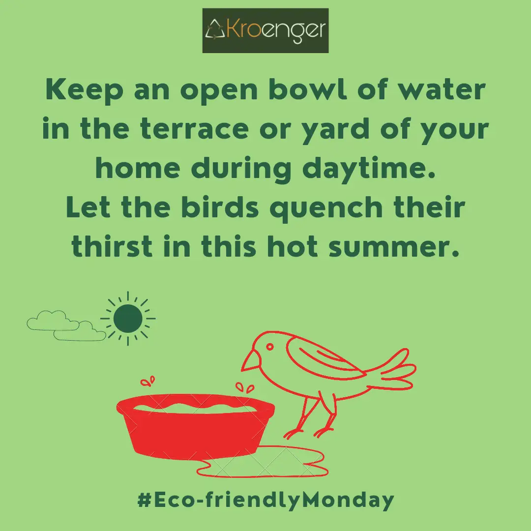 Keep an open bowl of water in the terrace or yard of your home during daytime.
        Let the birds quench their thirst in this hot summer.