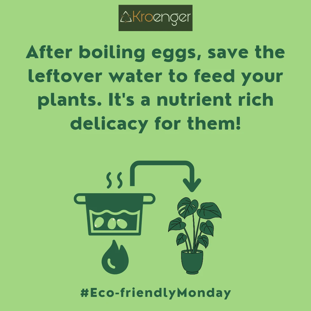 After boiling eggs, save the leftover water to feed your plants. It's a nutrient rich delicacy for them!