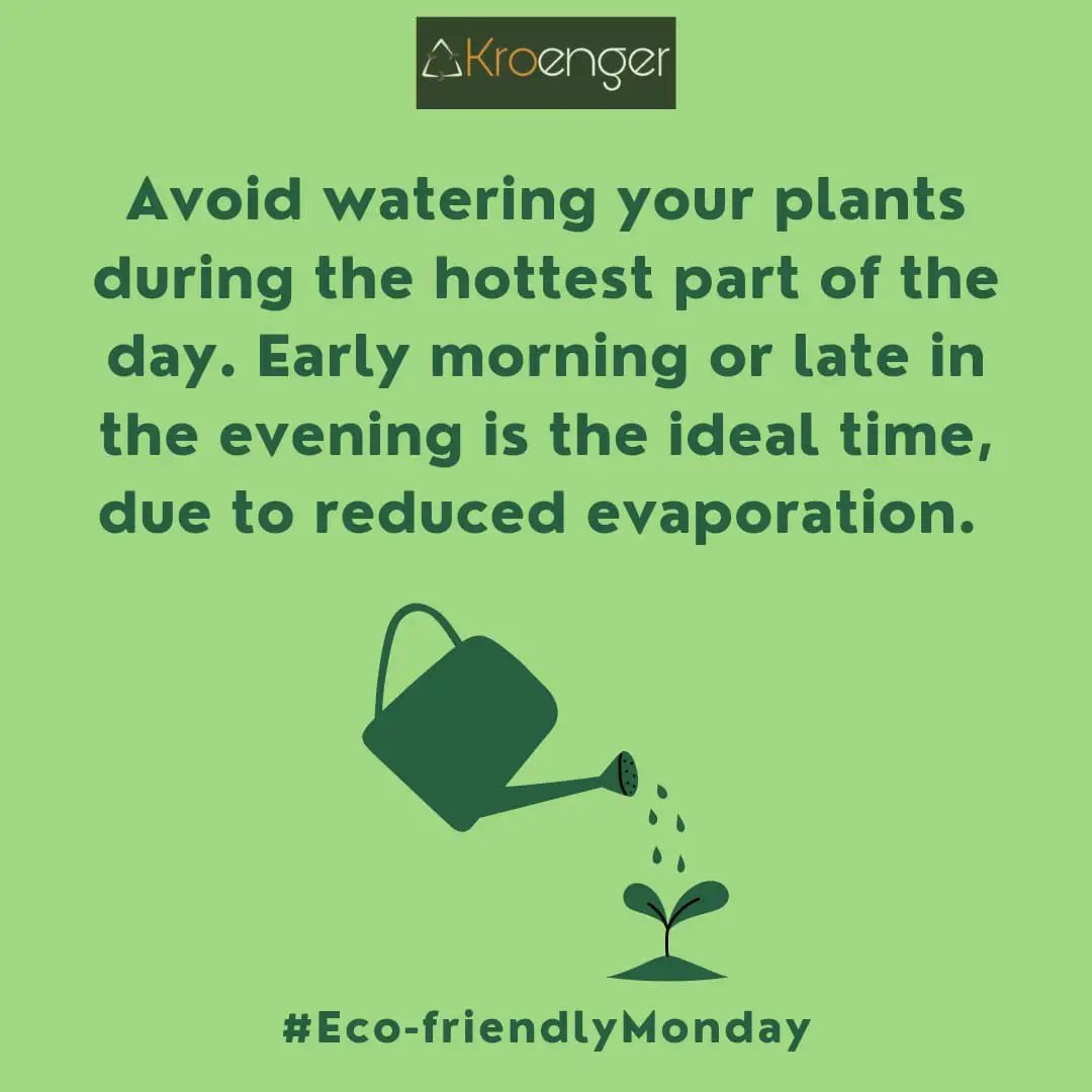 Avoid watering your plants during the hottest part of the day. Early morning or late in the evening is the ideal time, due to reduced evaporation.